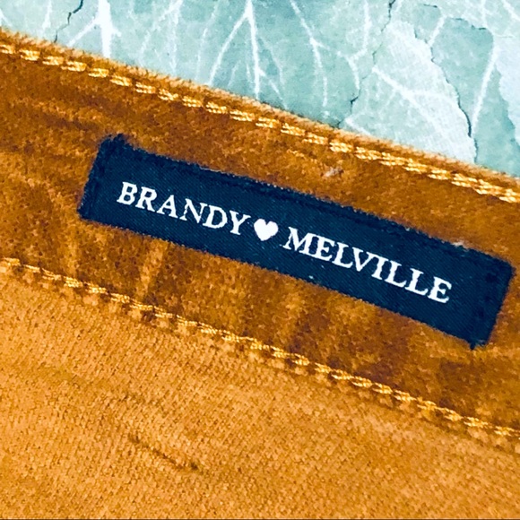 Brandy Melville Skirt; same brand ASO Taylor Swift - Picture 8 of 16